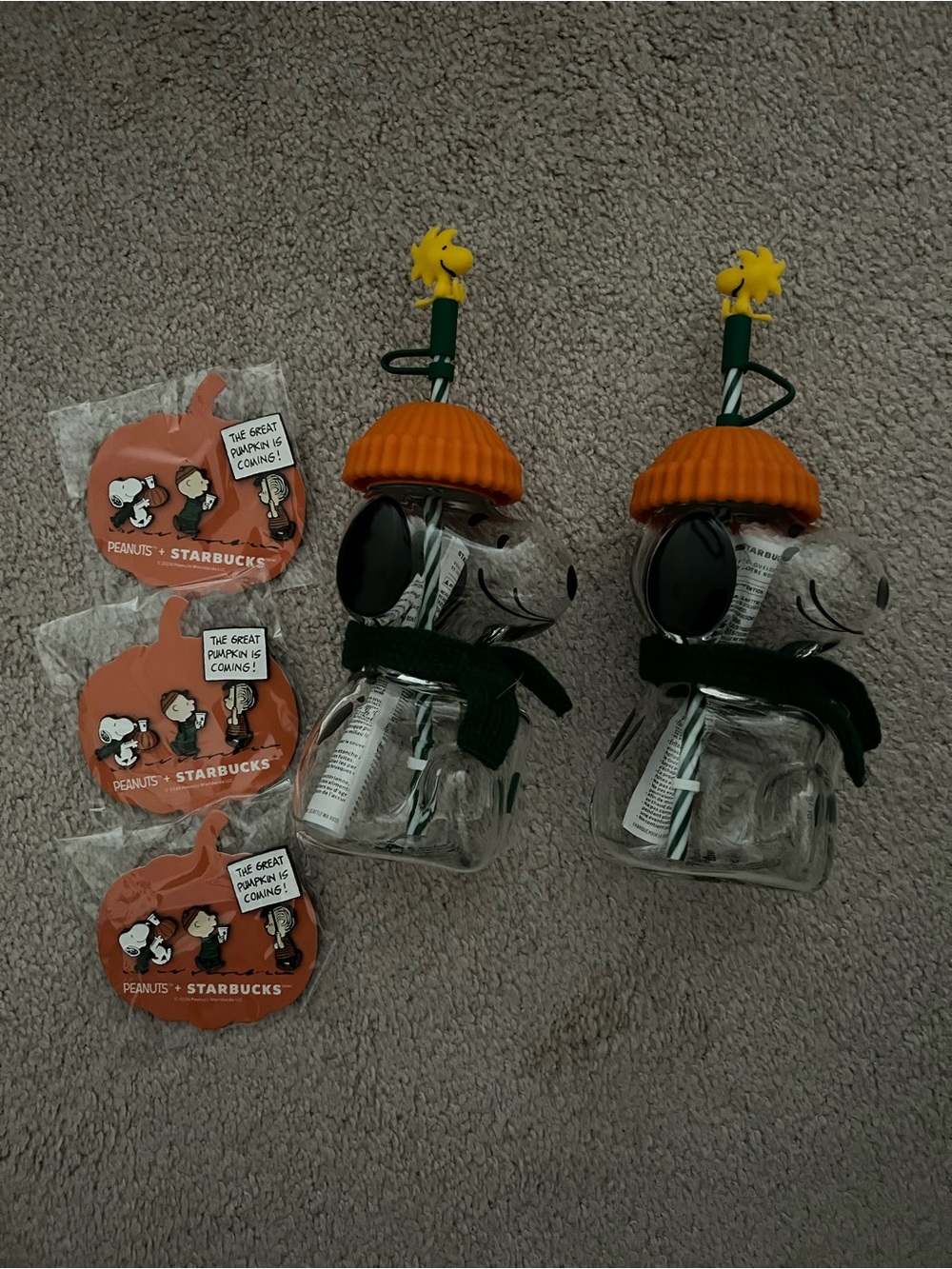 Starbucks Peanuts Snoopy LOT